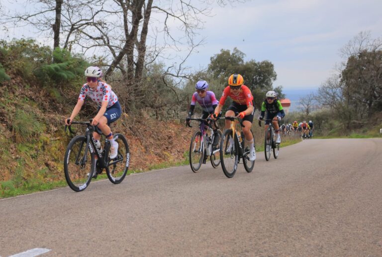 54370070632_a64f4b79b8_o