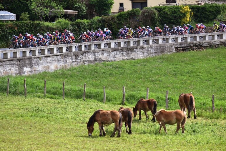 GettyImages-2215361823