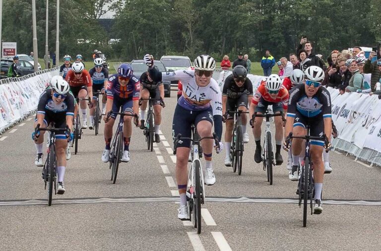 dfbad0fc-7a0e-4c68-890d-a1186ba815dc copia