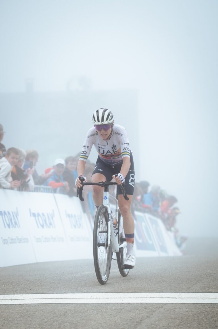 81353E11-C057-4E65-8373-378885C4E613