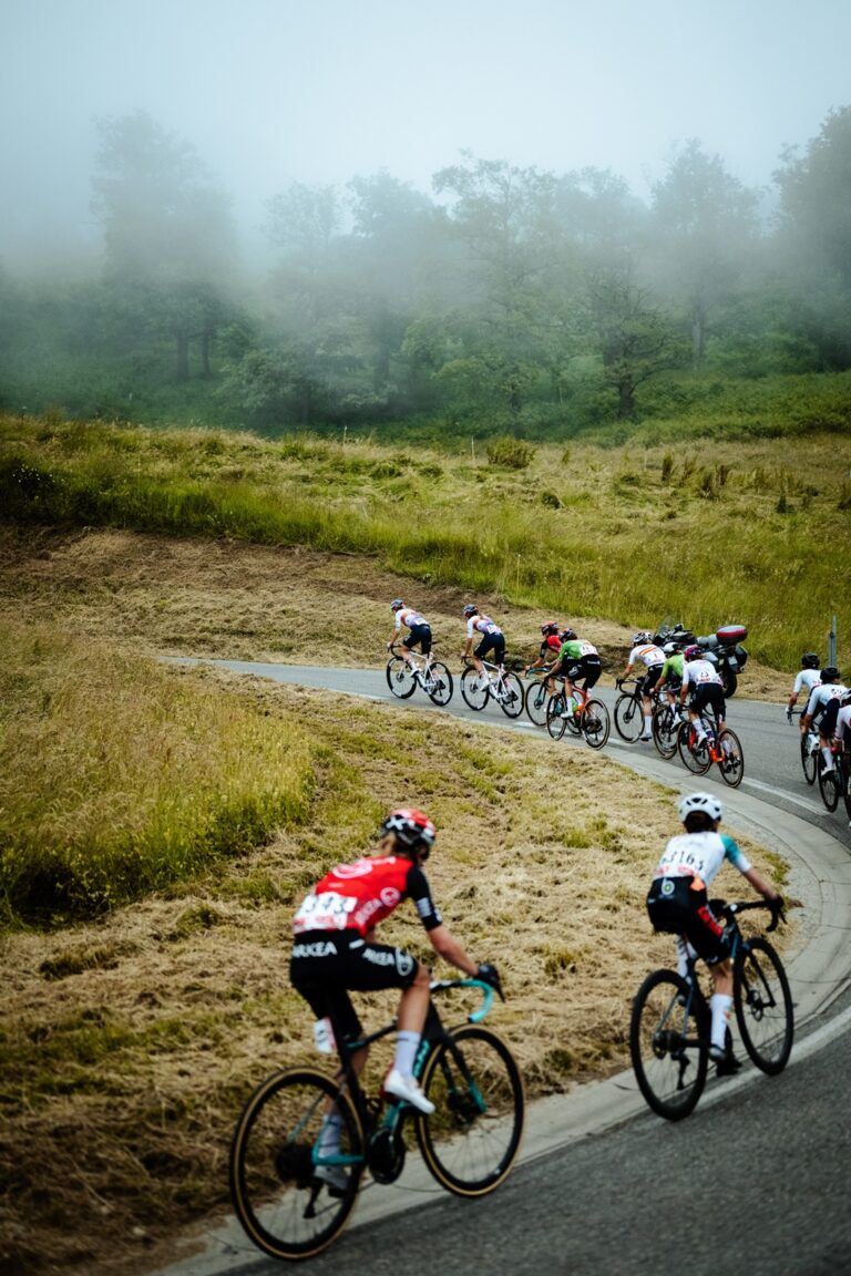 8796C1E0-2E4A-42E9-9E98-B63FC4D50A5E